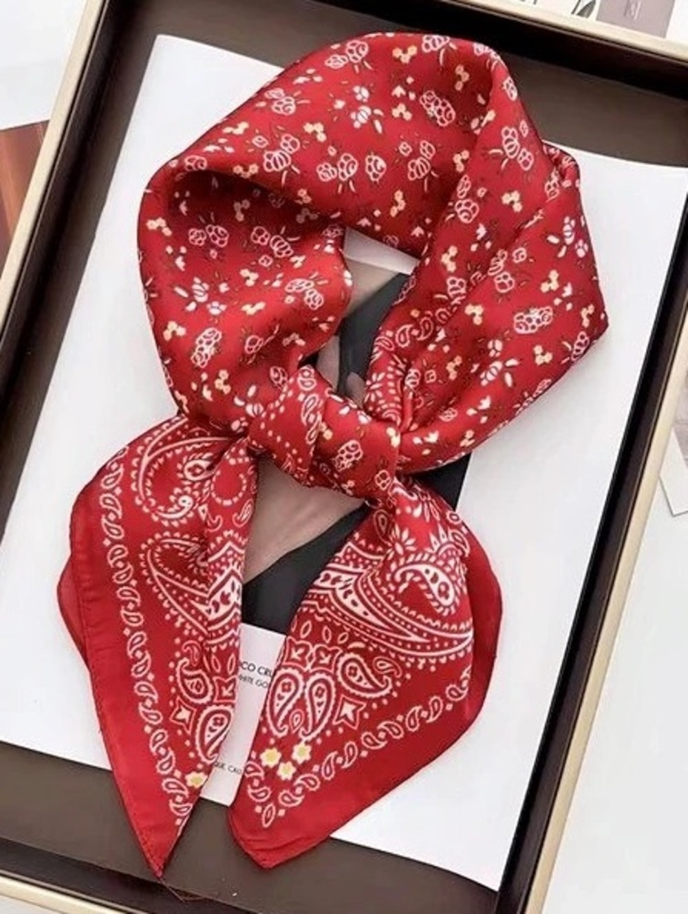 Red Paisley Scarf